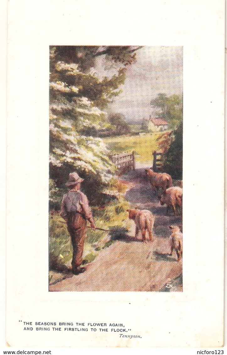 ·"Gilbert Foster. Shepherd With Flock" Tuck Oilette In The Country Ser. PC # 9717 - Tuck, Raphael