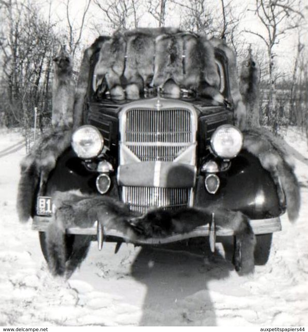 Photo Originale USA - Voiture Américaine à Identifier Vers 1930/40 & Chasse De Loutres & Voiture Couverte De Trophées - Automobili