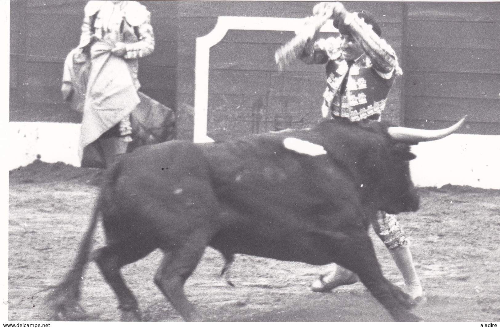 Collections de 93 photos NB et couleur CORRIDA DE TORO, course de taureau, TOREADOR, picador avec/sans mention au verso