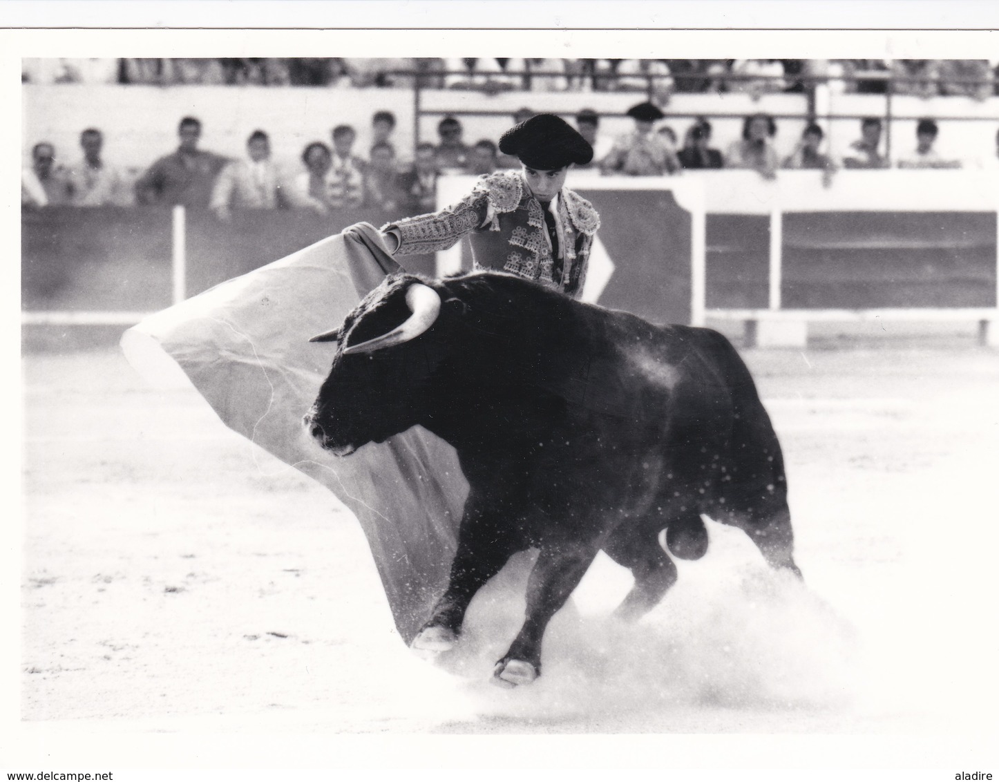 Collections de 93 photos NB et couleur CORRIDA DE TORO, course de taureau, TOREADOR, picador avec/sans mention au verso