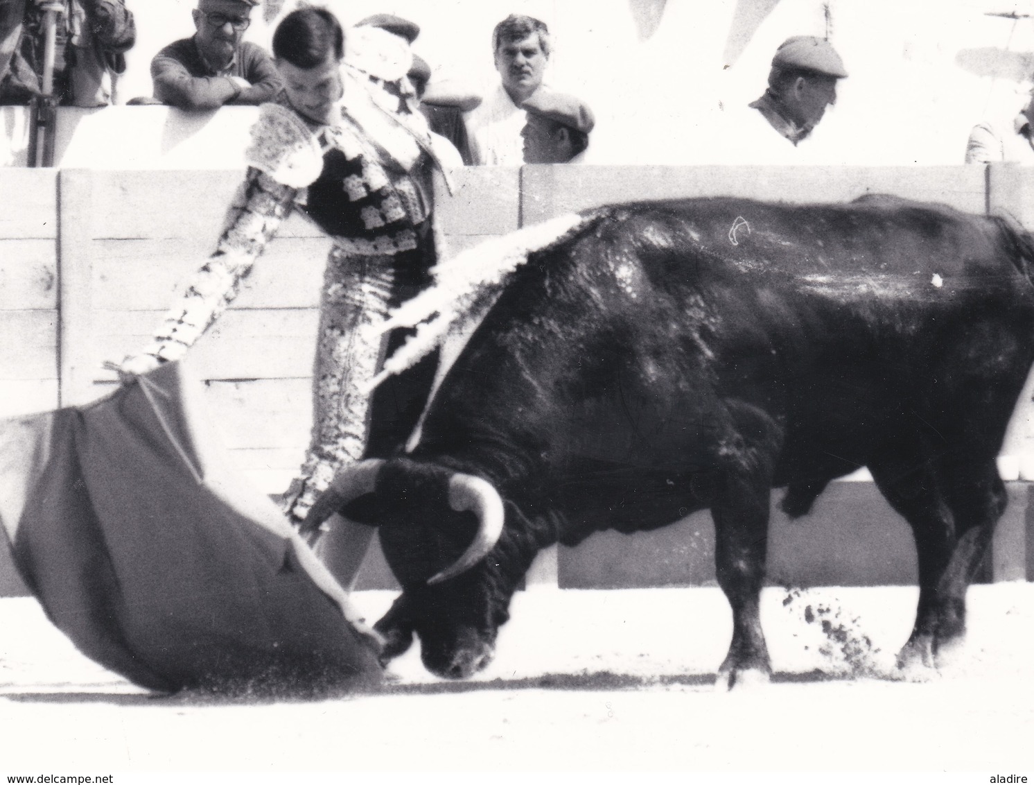 Collections de 93 photos NB et couleur CORRIDA DE TORO, course de taureau, TOREADOR, picador avec/sans mention au verso