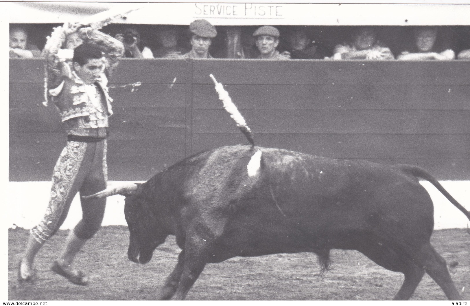 Collections de 93 photos NB et couleur CORRIDA DE TORO, course de taureau, TOREADOR, picador avec/sans mention au verso