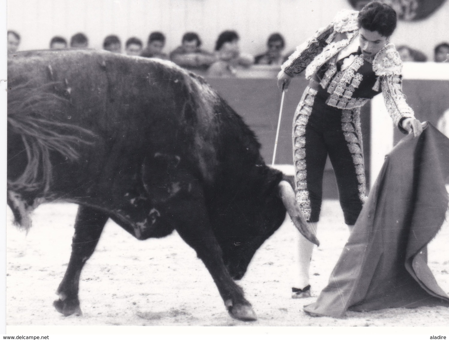 Collections de 93 photos NB et couleur CORRIDA DE TORO, course de taureau, TOREADOR, picador avec/sans mention au verso