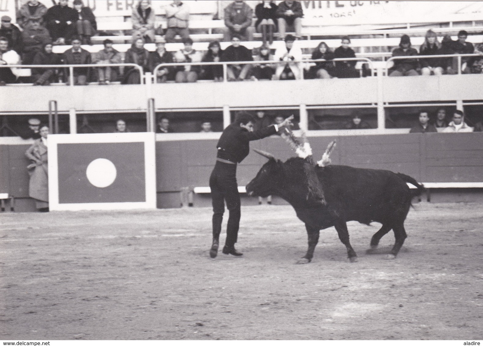 Collections de 93 photos NB et couleur CORRIDA DE TORO, course de taureau, TOREADOR, picador avec/sans mention au verso