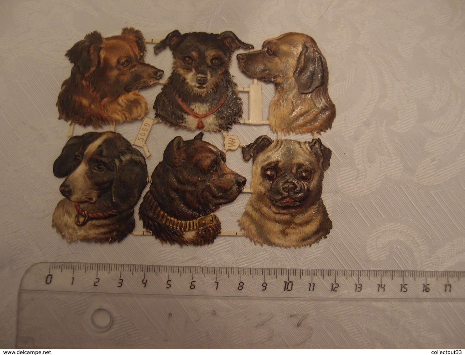 Lot De 6 Découpis Chromo Ancien Gaufré Brillant Chiens - Ragazzi