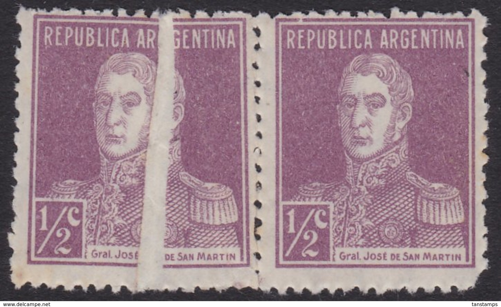 ARGENTINA 1924 SPECTACULAR PAPERFOLD PAIR WITH NORMAL - Nuevos