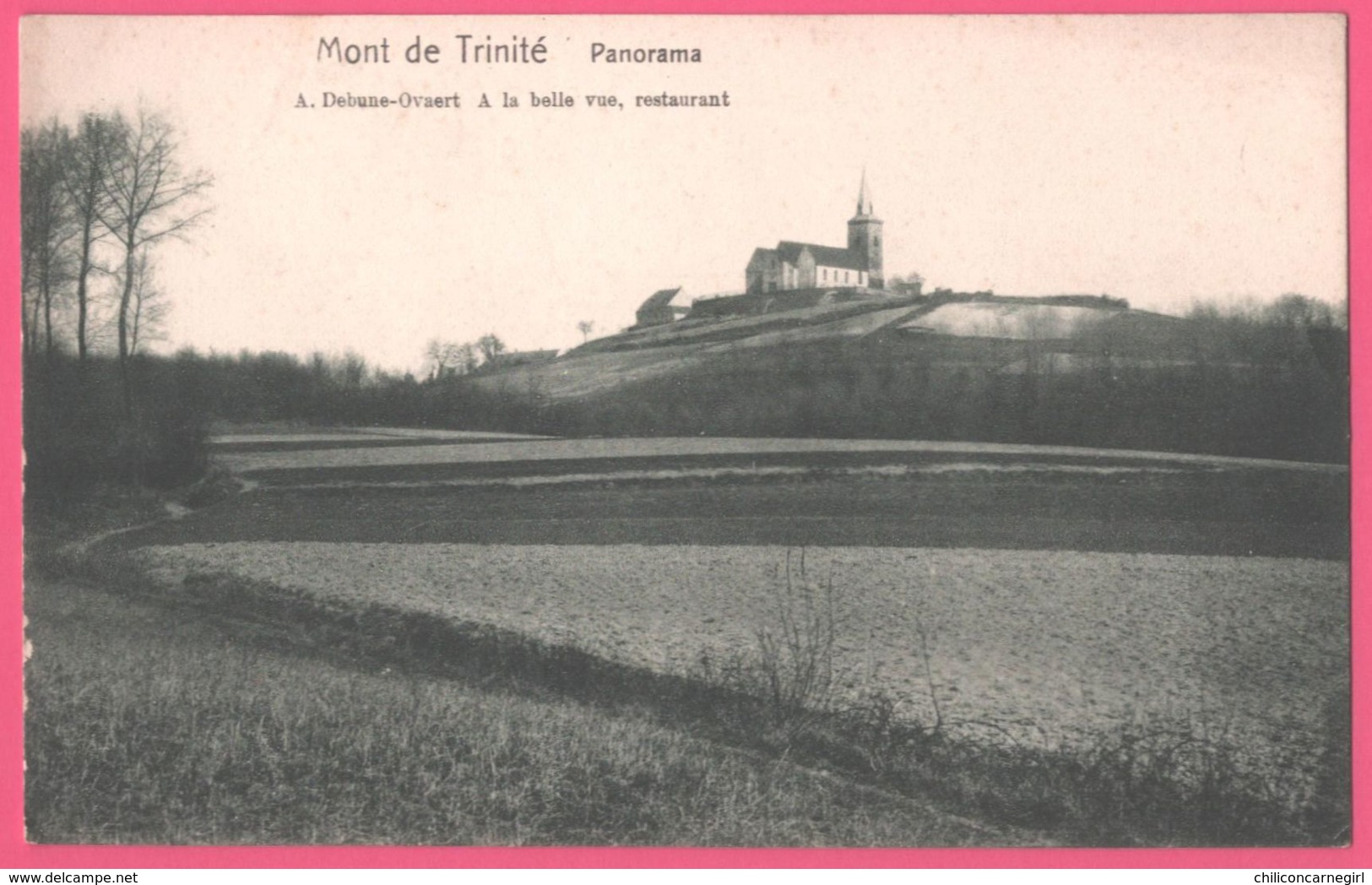 Mont De La Trinité - Panorama - Restaurant " A La Belle Vue " A. DEBUNE OVAERT - Edit. WILHELM HOFFMANN - Doornik