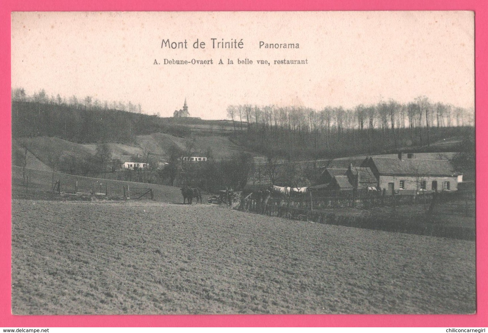 Mont De La Trinité - Panorama - Restaurant " A La Belle Vue " A. DEBUNE OVAERT - Edit. WILHELM HOFFMANN - Doornik