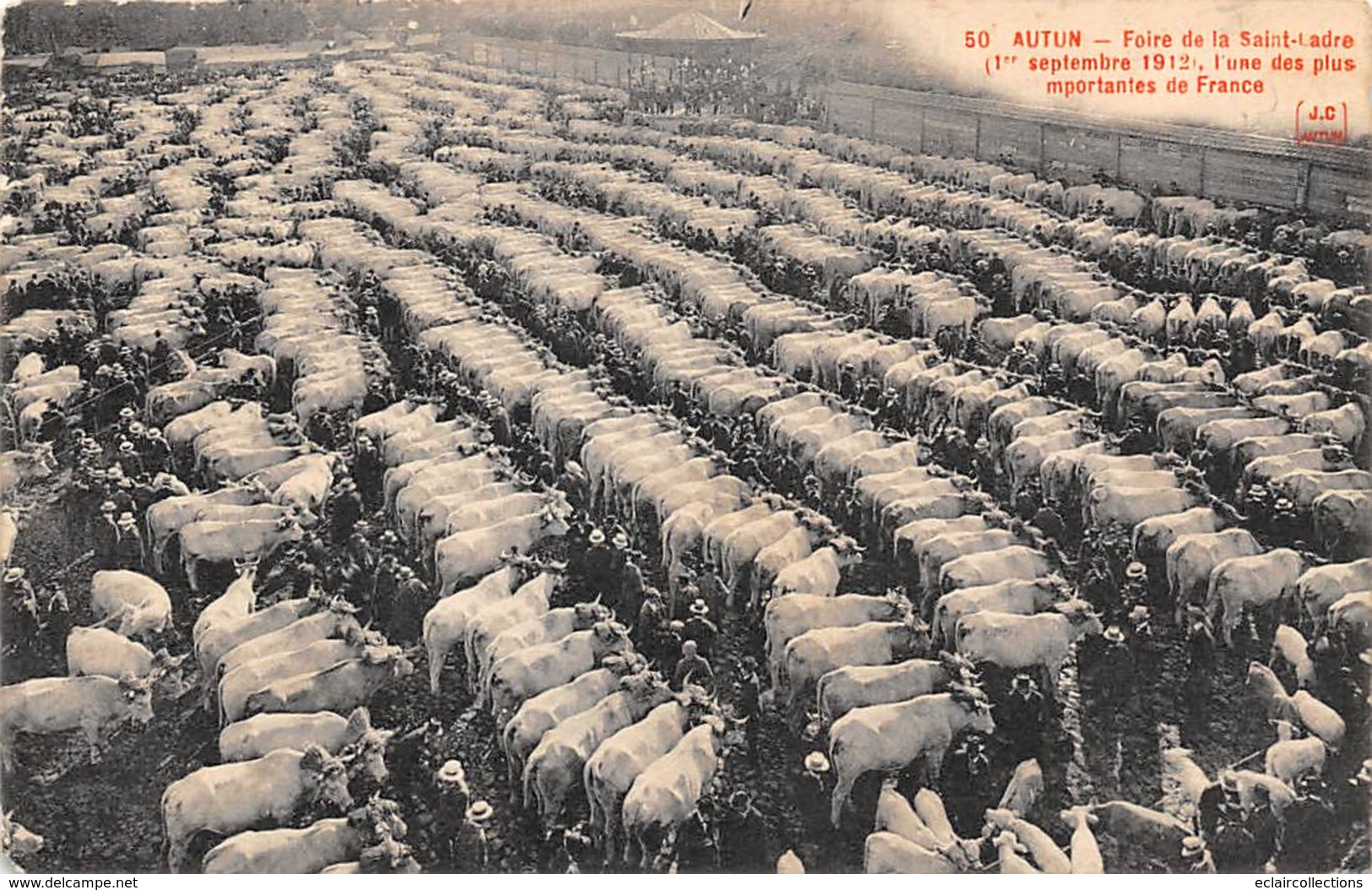 Autun        71       Foire De La Haute Ladre. Marché Aux Bestiaux        (voir Scan) - Autun