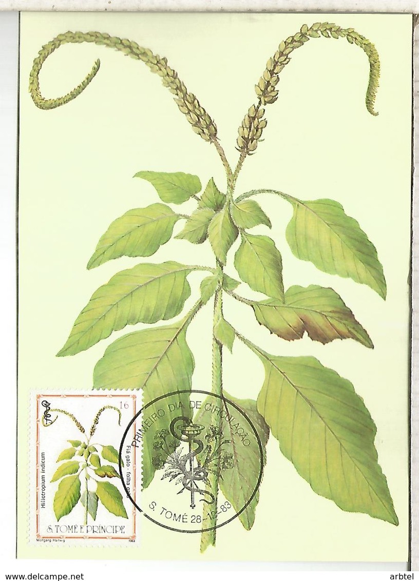 SAO TOME E PRINCIPE PLANTAS MEDICINALES FARMACIA MEDICINA HILIOTROPIUM INDICUM - Plantas Medicinales