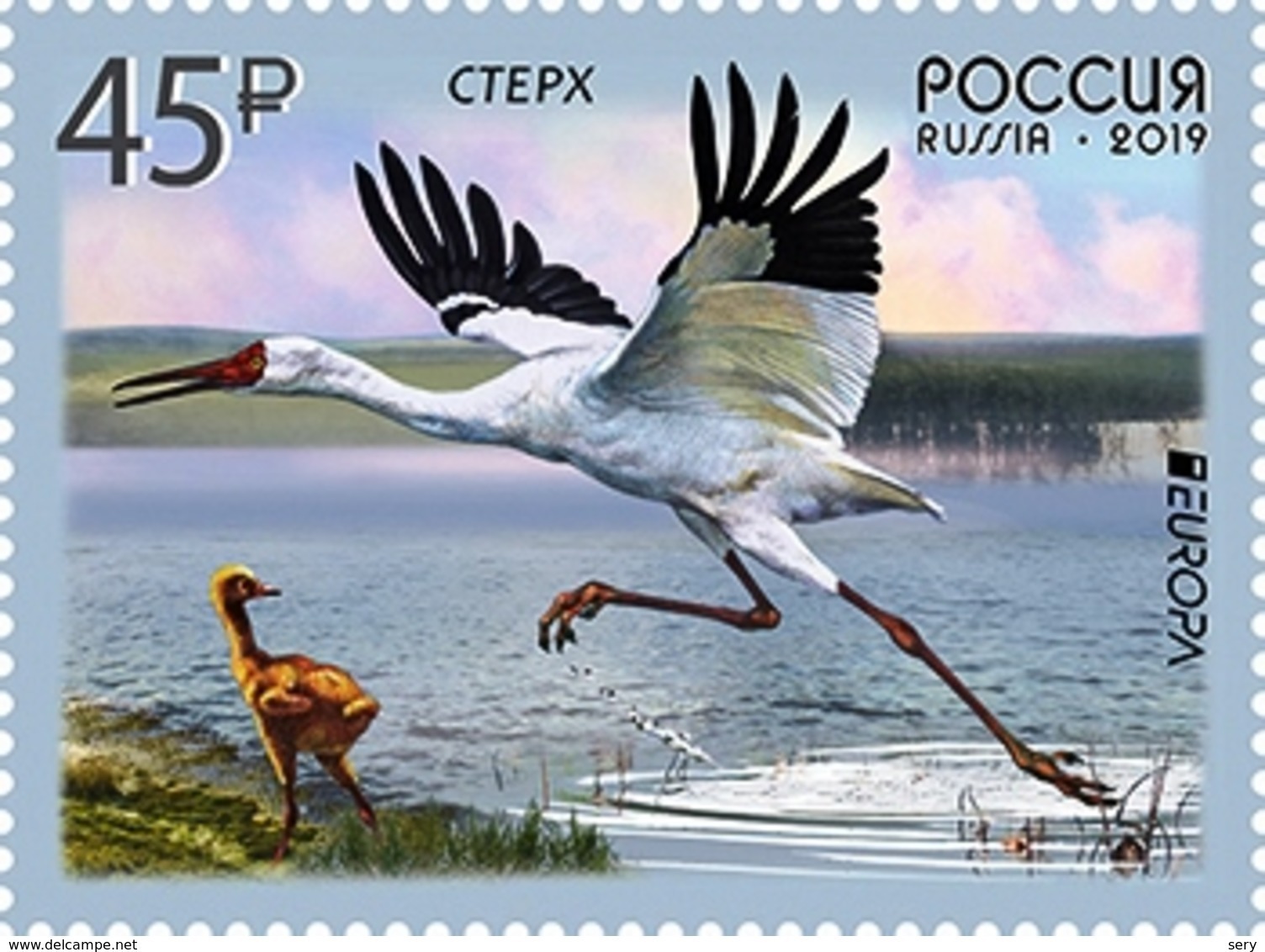 Russia 2019 1 V MNH EUROPA CEPT Siberian Crane Bird Birds Grus Leucogeranus Grue Blanche Oiseaux Oiseau - Gru & Uccelli Trampolieri