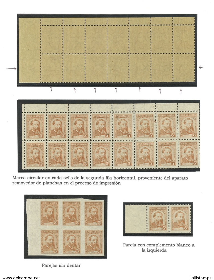 ARGENTINA: GJ.1033, 5c. José Hernández, Study Of The Issue On 3 Exhibition Pages, Including Varieties For Examples Marks - Nuovi