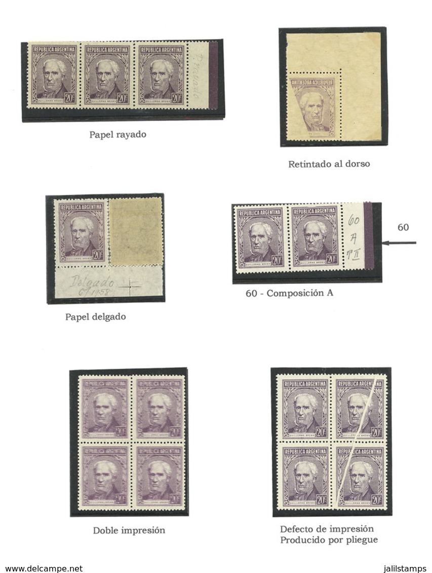 ARGENTINA: GJ.1036 + 1037 + 1038, 20c. Guillermo Brown Types A, B And C, Study Of The Issue On 7 Album Pages, Including  - Ongebruikt