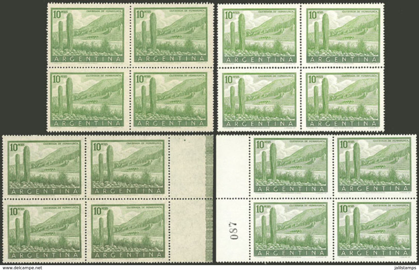 ARGENTINA: GJ.1054 + 1054A + 1054B, 10P. Humahuaca (cactus), Blocks Of 4 On Chalky Paper And National Unsurfaced Paper,  - Unused Stamps