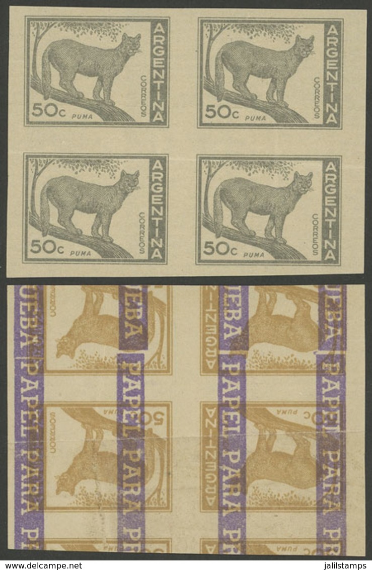 ARGENTINA: GJ.1125, 50c. Puma, PROOF In Gray, Imperforate Block Of 4 Printed On Special Paper For Specimens, On Back It  - Unused Stamps