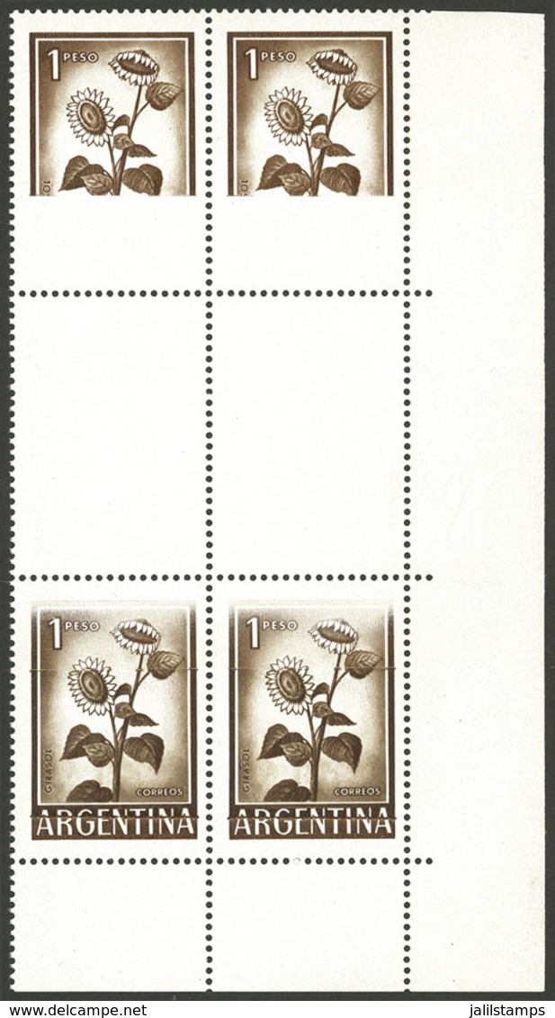 ARGENTINA: GJ.1130, 1P. Sunflower, Large Size, Printed On Glazed Paper, Block Of 4 (with Partial Impression) + Gutters,  - Ungebraucht