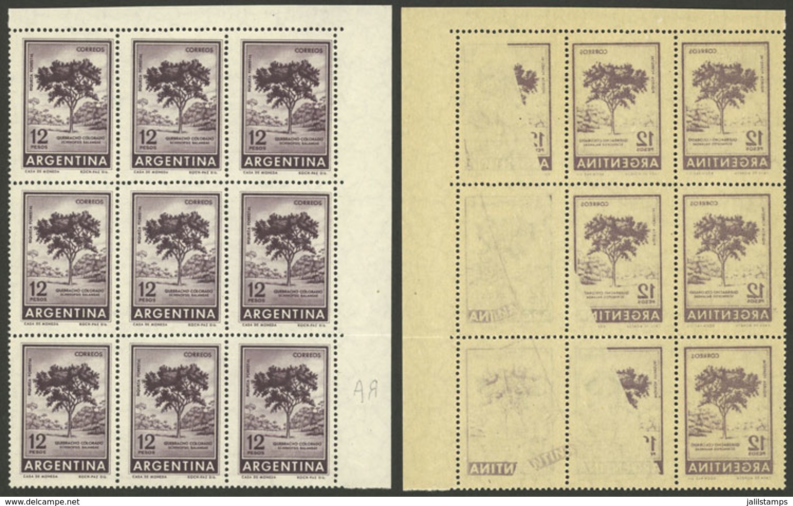 ARGENTINA: GJ.1143, 12P. Quebracho Tree, Block Of 9 With Strong OFFSET IMPRESSION ON BACK, Excellent Quality! - Unused Stamps