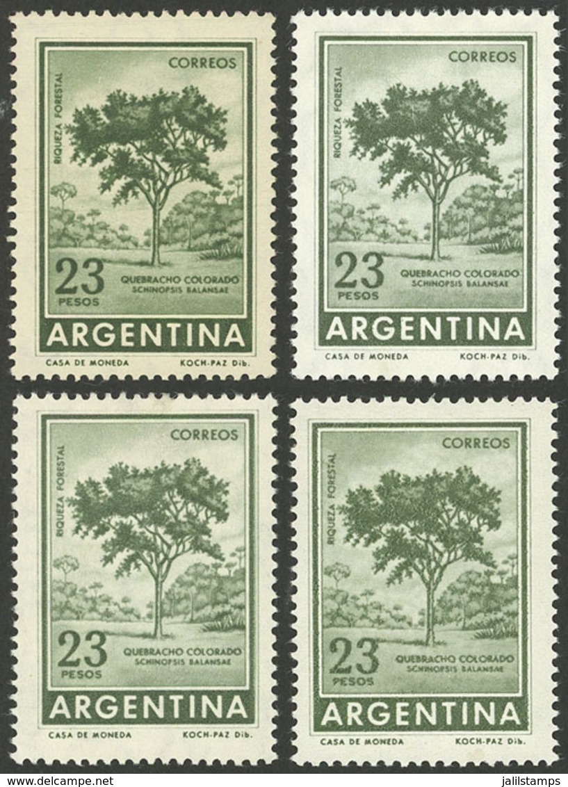 ARGENTINA: GJ.1311 + 1311A + 1311Aa + 1311B, 23P. Quebracho Tree On National Unsurfaced Paper, Soft Imported Unsurfaced  - Unused Stamps