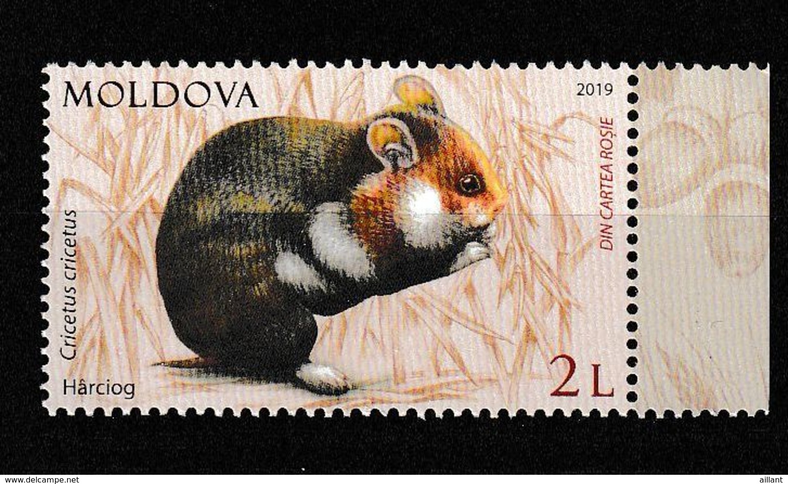 Moldavie; Moldova. Grand Hamster  ** - Roditori