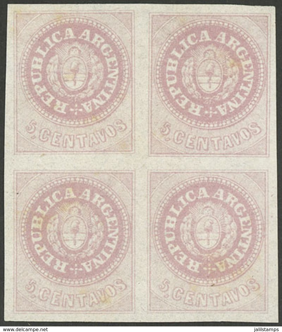 ARGENTINA: GJ.10, 5c. Dull Rose, Excellent Mint Block Of 4, VF Quality! - Other & Unclassified