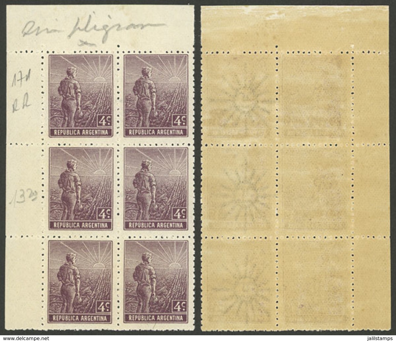 ARGENTINA: GJ.331b, Block Of 6 Consisting Of 3 Pairs WITH AND WITHOUT WATERMARK, MNH (+50%), VF! - Altri & Non Classificati