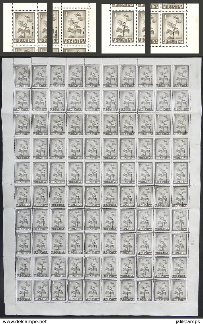 ARGENTINA: INTERESTING VARIETY: GJ.740, Complete Sheet Of 100 Stamps, Mint Without Gum, With The Overprint Applied Compl - Oficiales