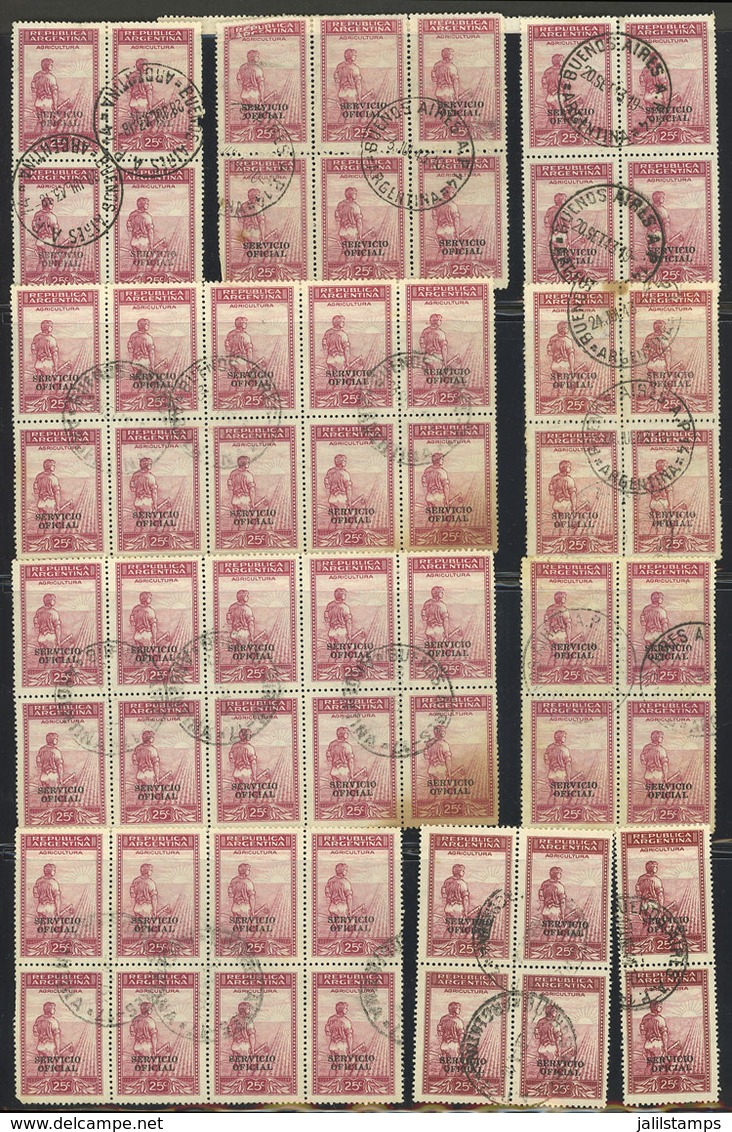 ARGENTINA: Binder With Several Hundreds Stamps, Fragments, Blocks Of 4 Or Larger, All Used, Neatly Mounted In Stockpages - Dienstmarken