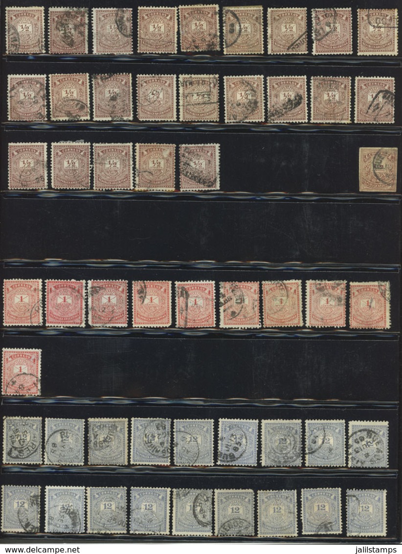 ARGENTINA: Binder With SEVERAL HUNDREDS Old Stamps Neatly Mounted In Stockpages, Including Good Values And Some Varietie - Collections, Lots & Séries