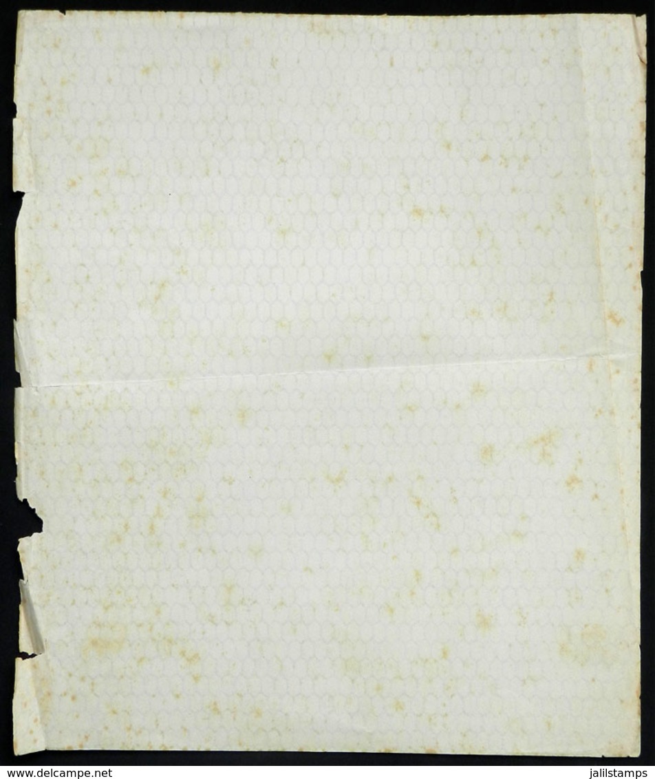 ARGENTINA: ORIGINAL Italian Paper With Honeycomb Watermark, Used For The Plowman Or 1917 San Martin Issues, Small Sheet  - Altri & Non Classificati