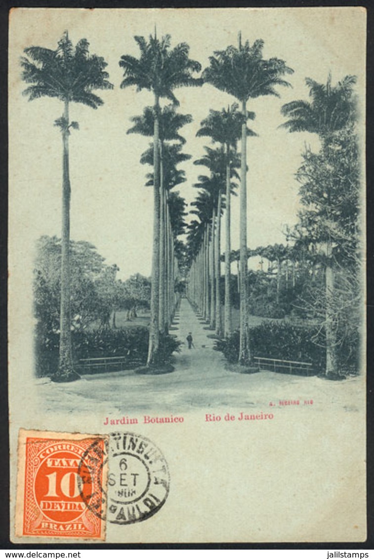 BRAZIL: RIO DE JANEIRO: Botanical Garden, Dated 1903, Ed.Ribeiro, VF! - Otros & Sin Clasificación