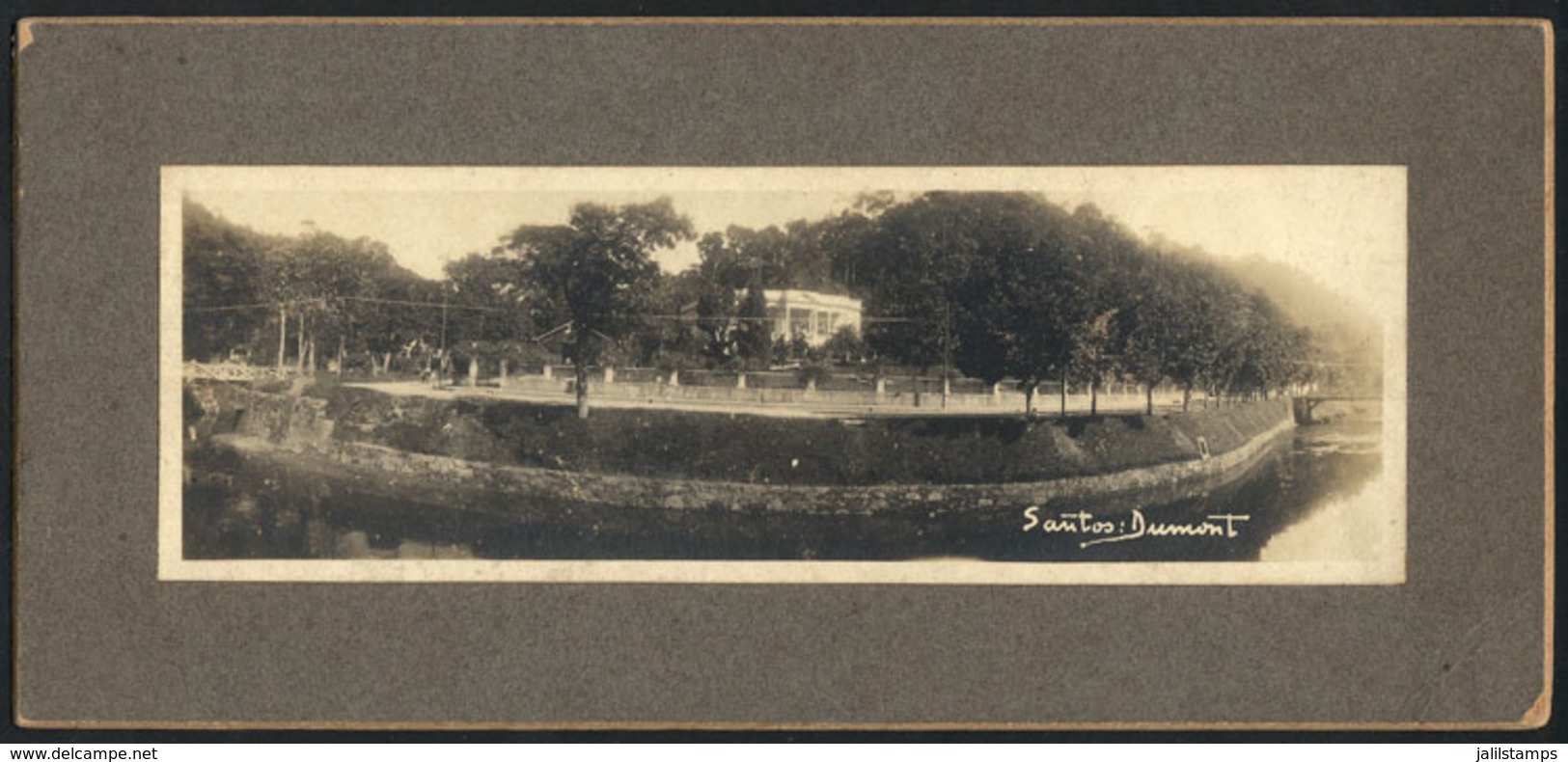 BRAZIL: Photograph, View Probably Of The Botanical Garden In Rio De Janeiro, Size 185 X 57 Mm, Mounted On Card, With The - Unclassified