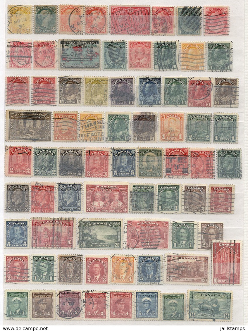 CANADA: 48-Page Stockbook Full Of Stamps Of All Periods, The Catalogue Value Is Surely Very High, Fine To VF General Qua - Sonstige & Ohne Zuordnung