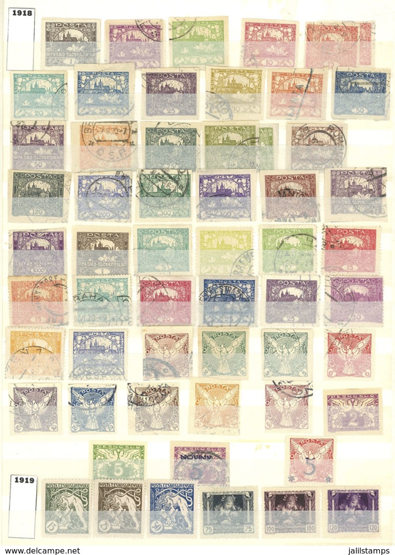 CZECHOSLOVAKIA: Collection In 2 Large Stockbooks (circa 1919 To 2000), With Many Hundreds Of Good Stamps And Sets, Used  - Sonstige & Ohne Zuordnung