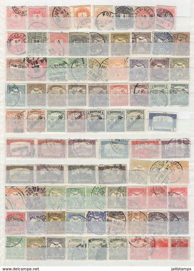 HUNGARY: 48-Page Stockbook Full Of Stamps Of Varied Periods, The Catalog Value Is Surely Very High, Fine To VF General Q - Autres & Non Classés