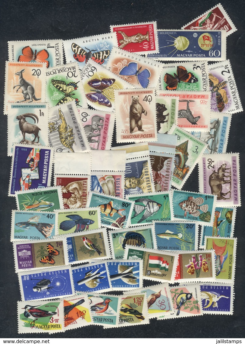 HUNGARY: Lot Of Stamps And Complete Sets, Most Are Very Thematic And Of Fine To VF Quality (many Unmounted, And Few Can  - Autres & Non Classés