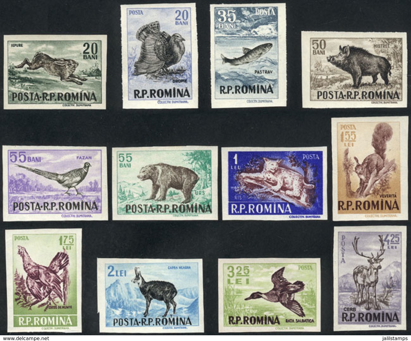 ROMANIA: Yvert 1488/99, 1956 Animals, Complete Set Of 12 Imperforate Values, VF Quality, Catalog Value Euros 80. - Autres & Non Classés