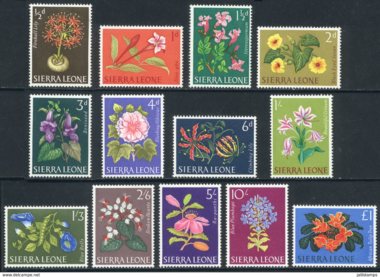 SIERRA LEONE: Sc.227/239, 1963 Flowers, Complete Set Of 13 Unmounted Values, Excellent Quality. - Sierra Leone (...-1960)