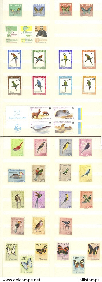 WORLDWIDE: ANIMALS, FAUNA Of AMERICAN Countries: Large Stockbook With Good Stamps And Sets Of Varied Countries, Mint Lig - Sonstige & Ohne Zuordnung