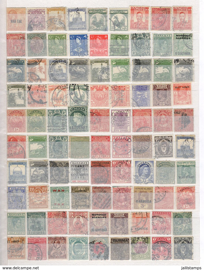 WORLDWIDE: 64-Page Stockbook Full Of Stamps Of All Periods Of British Colonies And Topics Sport And Transport, The Catal - Other & Unclassified