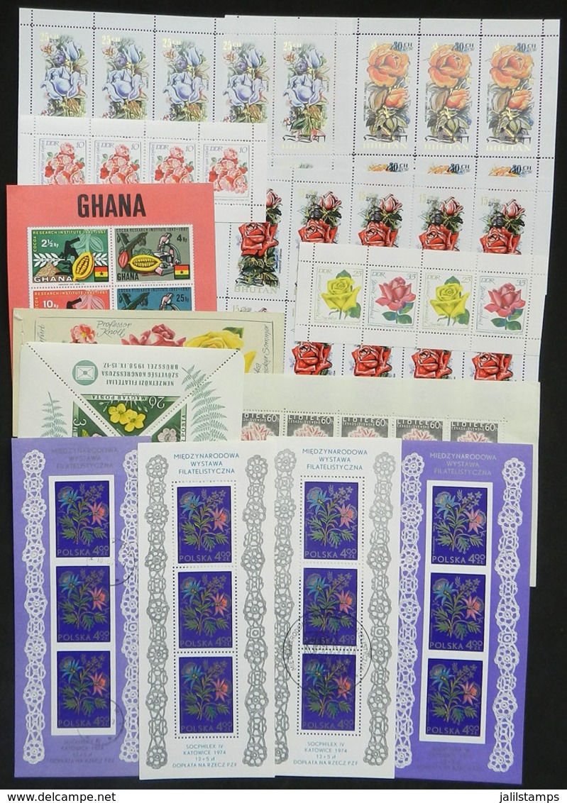 WORLDWIDE: Lot Of Souvenir Sheets Of Varied Countries, Topic Flowers Anf Fruits, Most Of Very Fine Quality! - Other & Unclassified