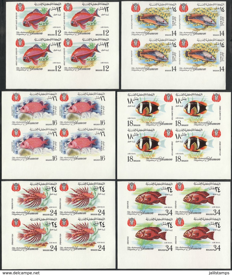 YEMEN: Yvert 64, 1967 Fish, Complete Set Of 6 Values In IMPERFORATE BLOCKS OF 4, Unmounted, Excellent Quality! - Yémen
