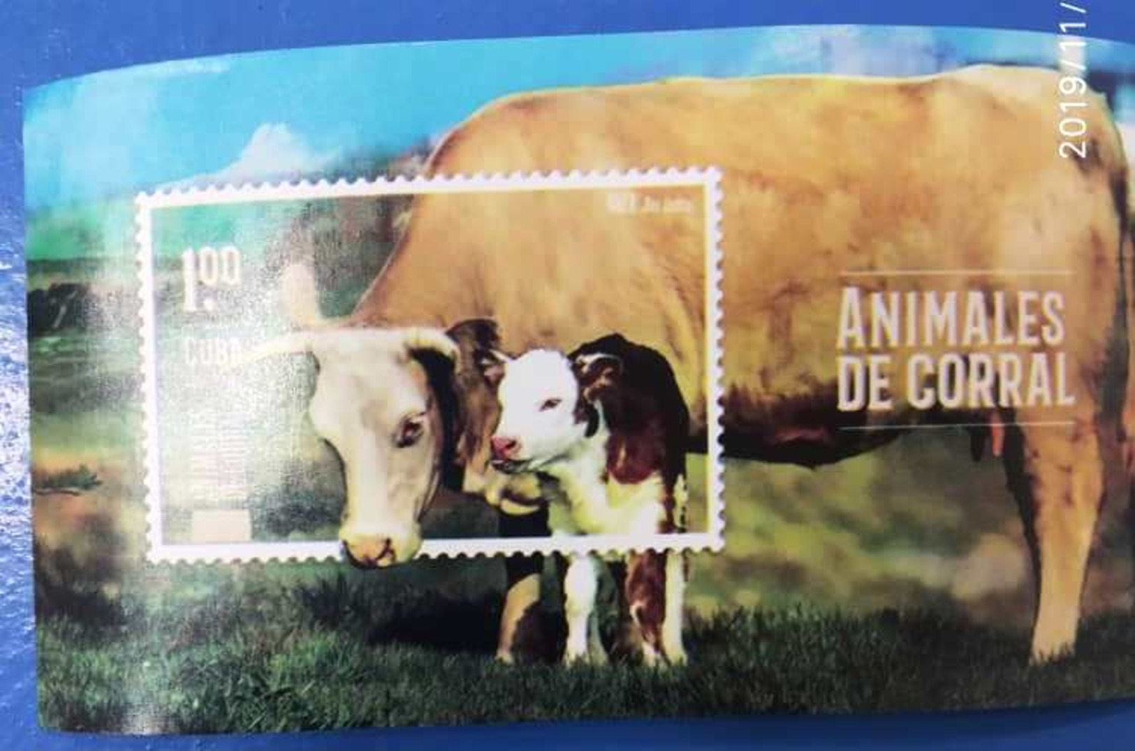 Cuba 2019 Farm`s Animals (Birds, Chicken, Goose, Pick, Cow, Rabbit, Duck) 6v + S/S MNH - Anatre