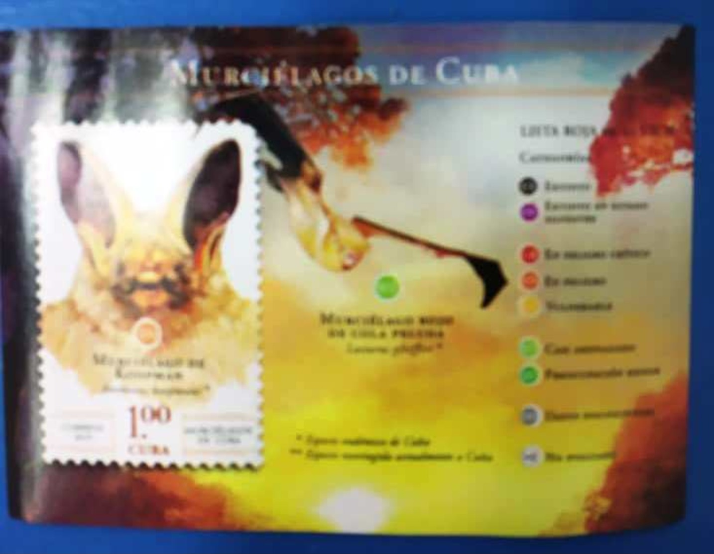 Cuba 2019 Bats 6v + S/S MNH - Pipistrelli