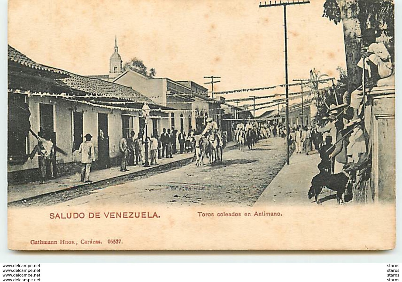 Saludo De VENEZUELA - Toros Coleados En Antimano - Venezuela