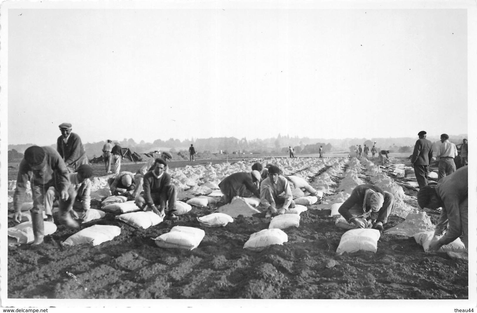 SALLES D'AUDE  -   Cliché D' Engins De Terrassement  -  Construction De La Route D 31  -  Travaux Publics - Salleles D'Aude