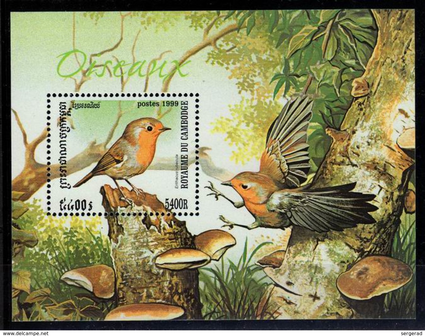 Cambodia-1999, Birds, Mushrooms, Sheet, MNH** - Paddestoelen