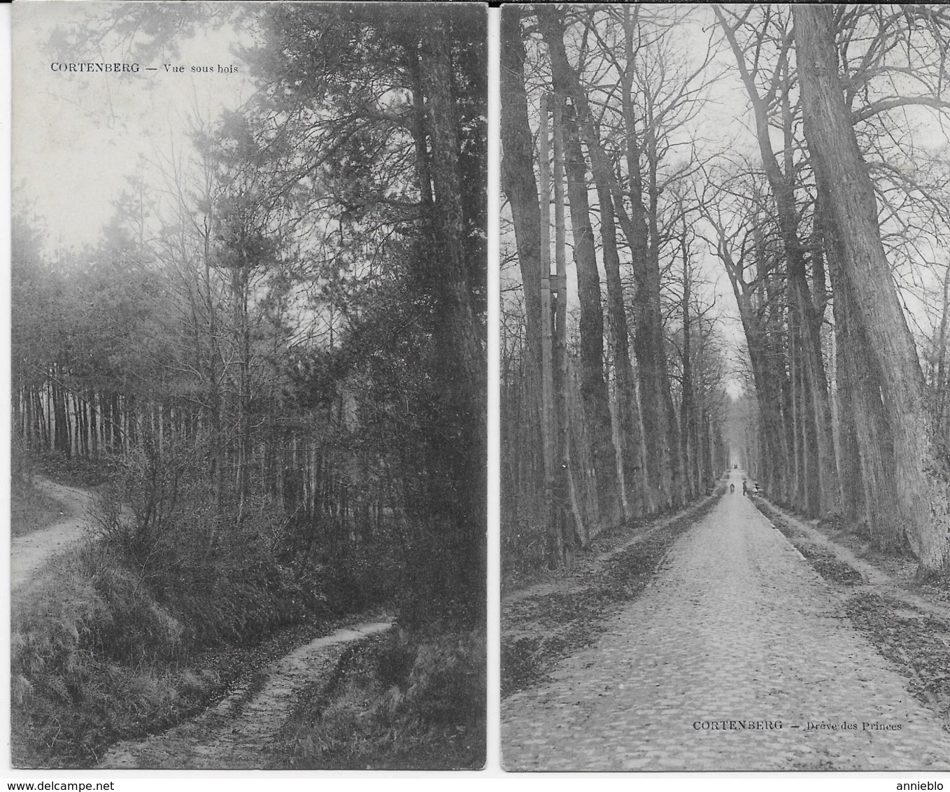 Cortenberg / Kortenberg - 1914 - 2 KAARTEN - *373* - Kortenberg