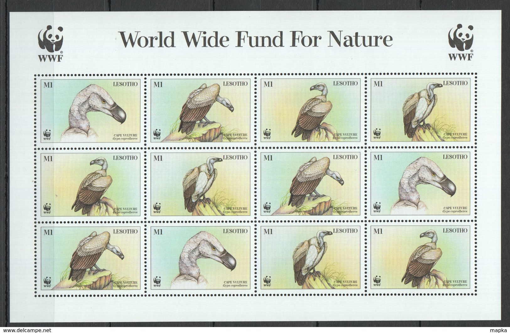 D124 LESOTHO WWF FAUNA BIRDS CAPE VULTURE 1SH MNH - Other & Unclassified