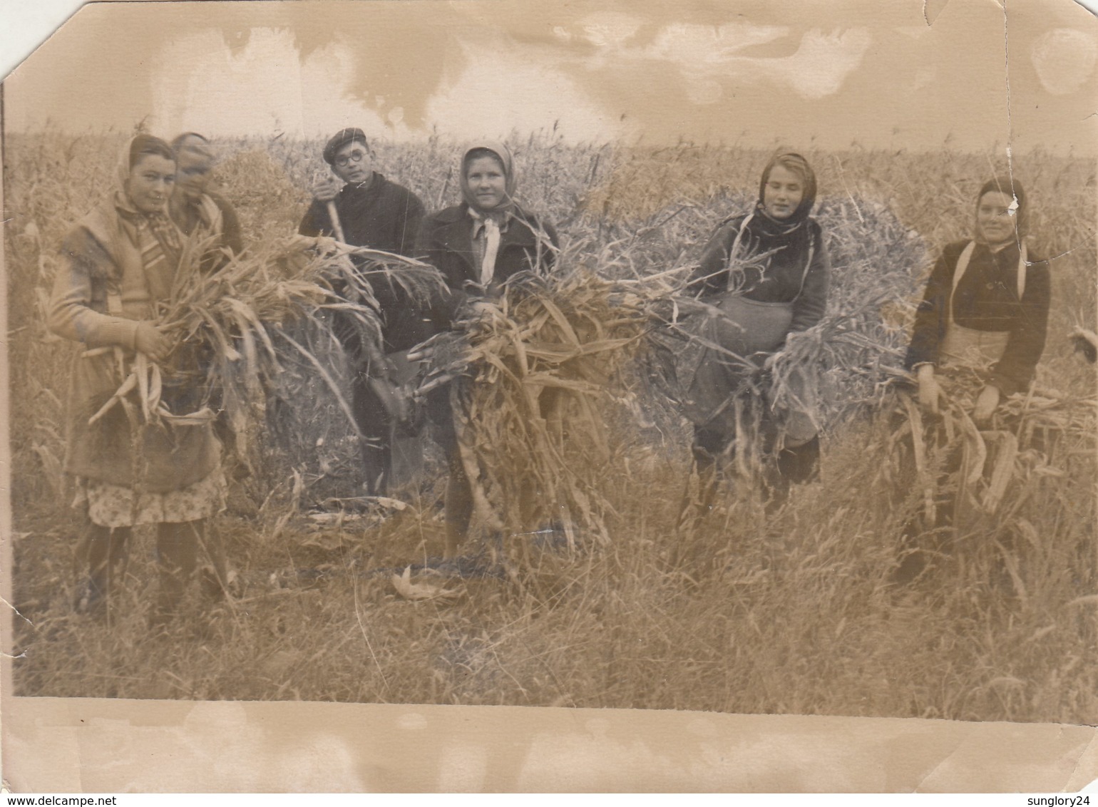 UKRAINE.  # 3533 A PHOTO. "KOLKHOZ. FIELD. CLEANING BREAD. SPIKES. *** - Otros & Sin Clasificación