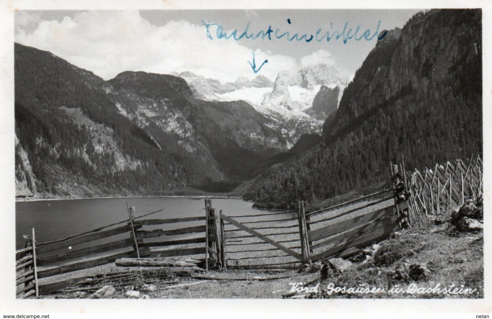 VORD. GOSAUSEE U. DACHSTEIN-REAL PHOTO-1950 - Gmunden